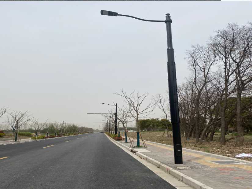 金坛区上海综合杆 太阳能路灯工程